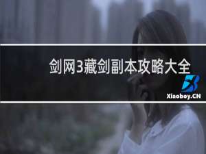 剑网3藏剑副本攻略大全