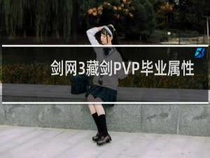 剑网3藏剑PVP毕业属性