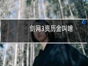 剑网3资历金叫啥