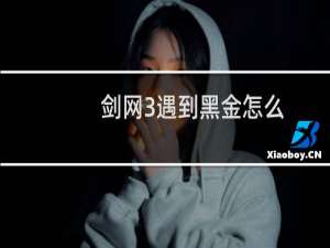 剑网3遇到黑金怎么