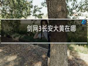 剑网3长安大黄在哪