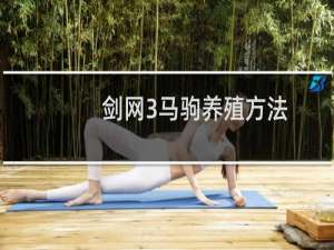 剑网3马驹养殖方法