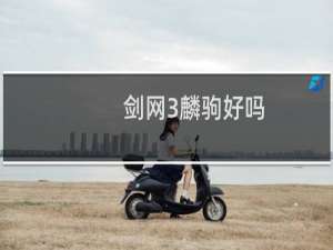 剑网3麟驹好吗