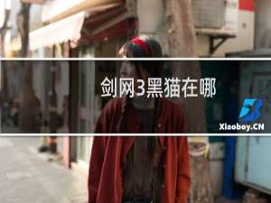 剑网3黑猫在哪