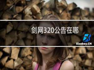 剑网3 公告在哪