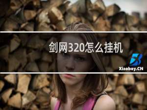 剑网3 怎么挂机