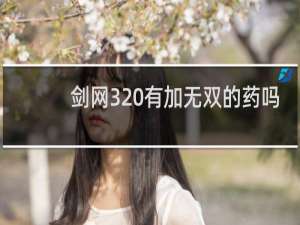 剑网3 有加无双的药吗