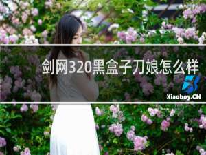 剑网3 黑盒子刀娘怎么样