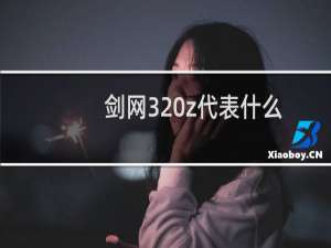 剑网3 z代表什么