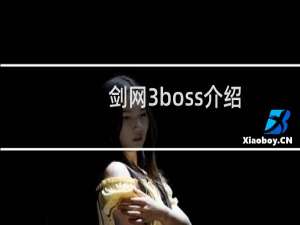 剑网3boss介绍