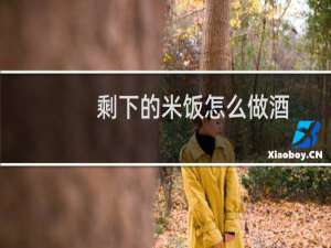 剩下的米饭怎么做酒