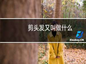 剪头发又叫做什么
