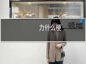 力什么梗