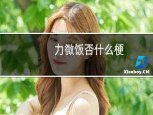 力微饭否什么梗