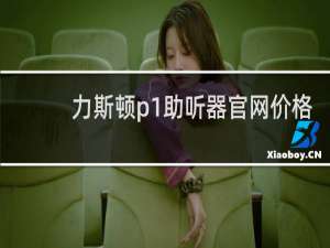 力斯顿p1助听器官网价格