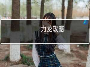 力龙攻略