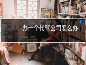 办一个代驾公司怎么办