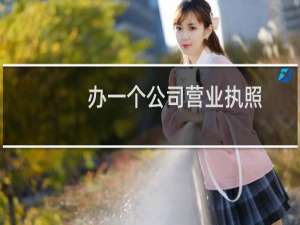 办一个公司营业执照