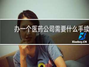 办一个医药公司需要什么手续