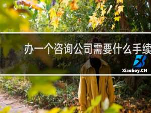 办一个咨询公司需要什么手续
