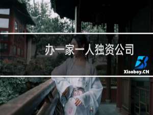 办一家一人独资公司