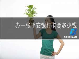 办一张平安银行卡要多少钱