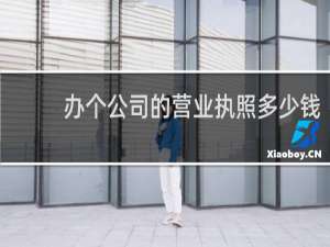 办个公司的营业执照多少钱