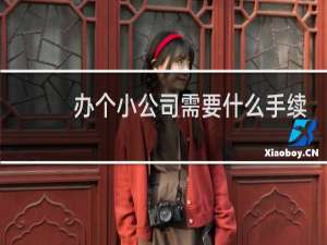 办个小公司需要什么手续