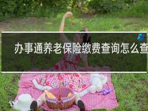 办事通养老保险缴费查询怎么查询