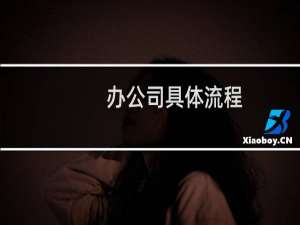 办公司具体流程