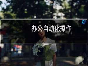 办公自动化操作