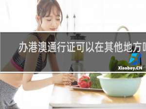 办港澳通行证可以在其他地方吗