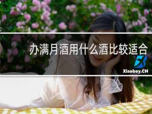 办满月酒用什么酒比较适合