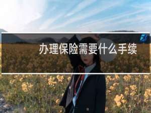 办理保险需要什么手续