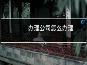 办理公司怎么办理