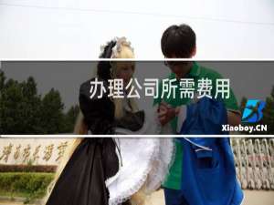办理公司所需费用