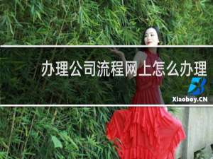 办理公司流程网上怎么办理
