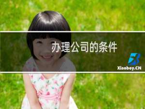 办理公司的条件