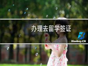 办理去留学签证