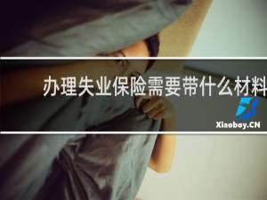 办理失业保险需要带什么材料