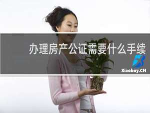 办理房产公证需要什么手续