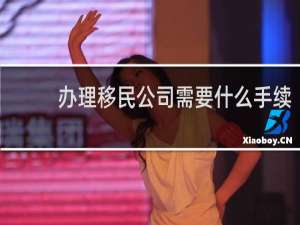 办理移民公司需要什么手续