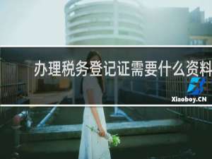 办理税务登记证需要什么资料