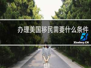 办理美国移民需要什么条件