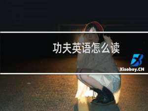 功夫英语怎么读