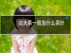 功夫茶一般泡什么茶叶