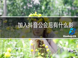 加入抖音公会后有什么影响