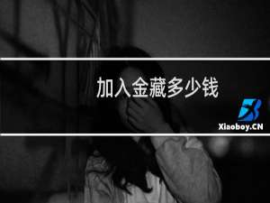 加入金藏多少钱