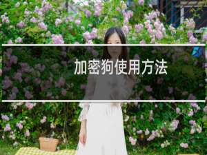 加密狗使用方法