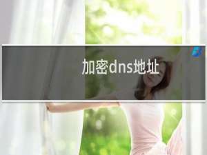 加密dns地址